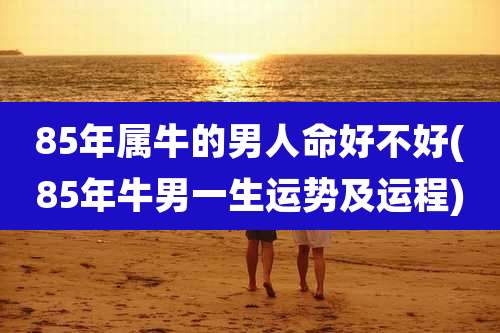 85年属牛的男人命好不好(85年牛男一生运势及运程)