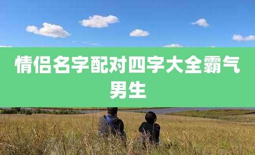 情侣名字配对四字大全霸气男生