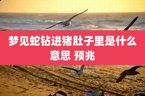 梦见蛇钻进猪肚子里是什么意思 预兆