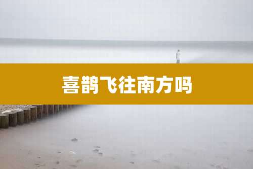 喜鹊飞往南方吗