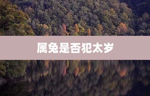 属兔是否犯太岁