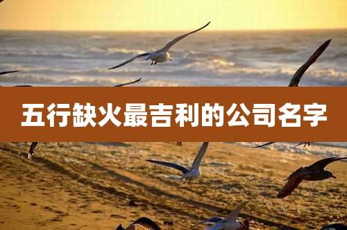 五行缺火最吉利的公司名字