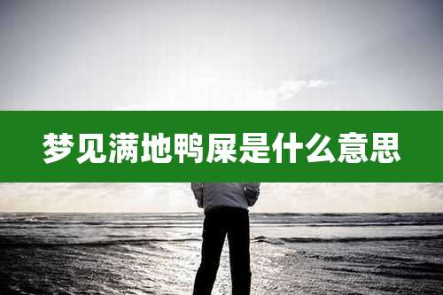 梦见满地鸭屎是什么意思