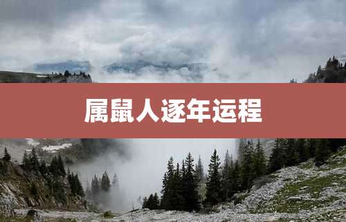 属鼠人逐年运程