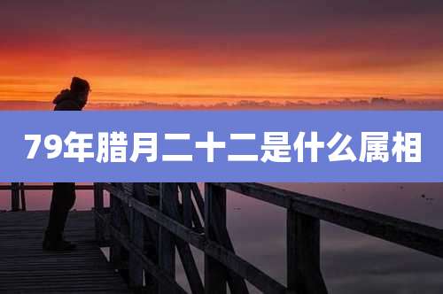79年腊月二十二是什么属相