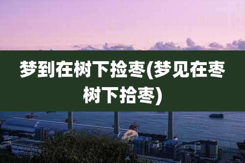 梦到在树下捡枣(梦见在枣树下拾枣)