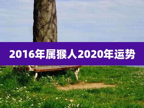 2016年属猴人2020年运势