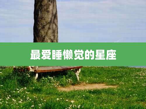 最爱睡懒觉的星座