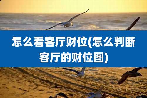 怎么看客厅财位(怎么判断客厅的财位图)