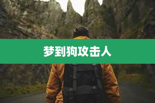 梦到狗攻击人