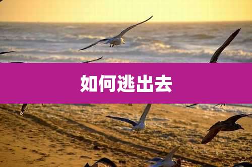 如何逃出去