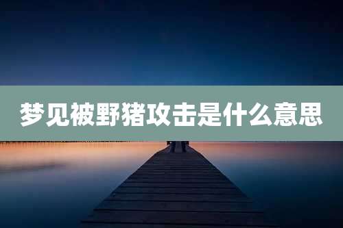 梦见被野猪攻击是什么意思