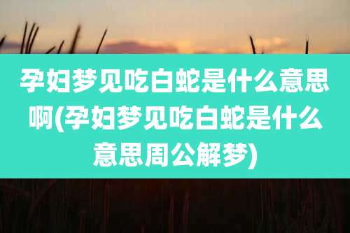 孕妇梦见吃白蛇是什么意思啊(孕妇梦见吃白蛇是什么意思周公解梦)