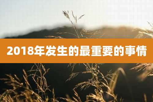 2018年发生的最重要的事情