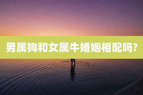 男属狗和女属牛婚姻相配吗?