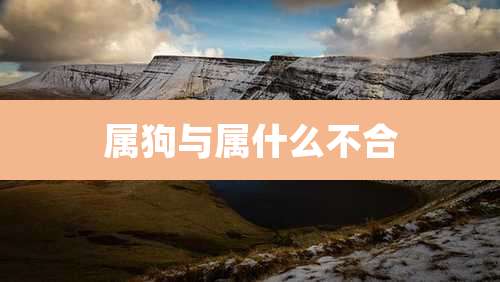 属狗与属什么不合