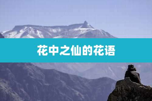 花中之仙的花语