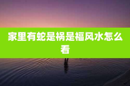 家里有蛇是祸是福风水怎么看