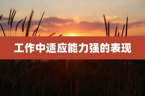 工作中适应能力强的表现