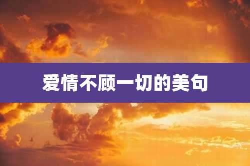 爱情不顾一切的美句