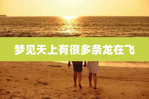 梦见天上有很多条龙在飞