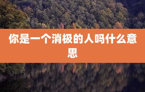 你是一个消极的人吗什么意思