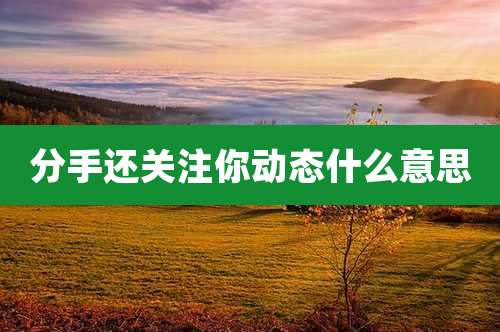 分手还关注你动态什么意思
