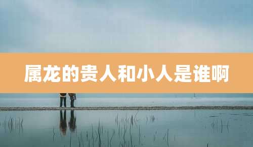 属龙的贵人和小人是谁啊
