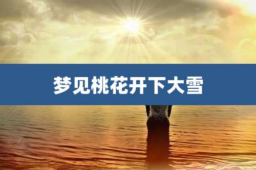 梦见桃花开下大雪