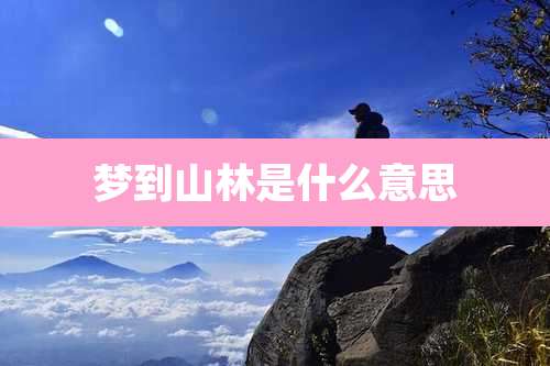 梦到山林是什么意思