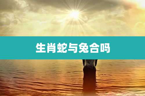 生肖蛇与兔合吗