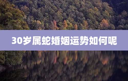 30岁属蛇婚姻运势如何呢