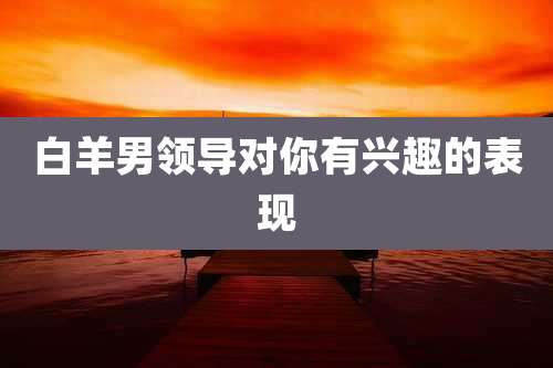 白羊男领导对你有兴趣的表现