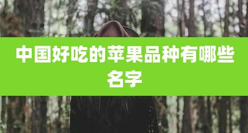 中国好吃的苹果品种有哪些名字