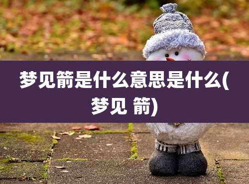 梦见箭是什么意思是什么(梦见 箭)