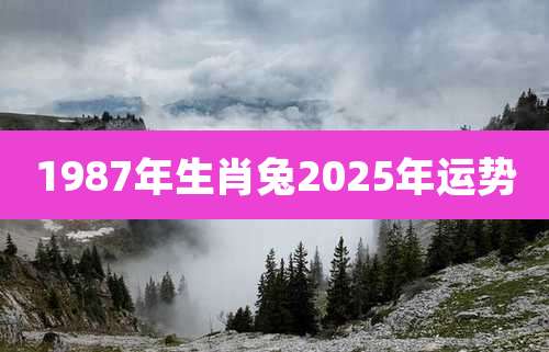 1987年生肖兔2025年运势