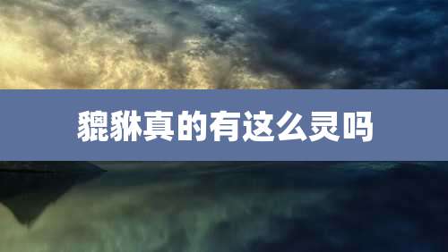 貔貅真的有这么灵吗