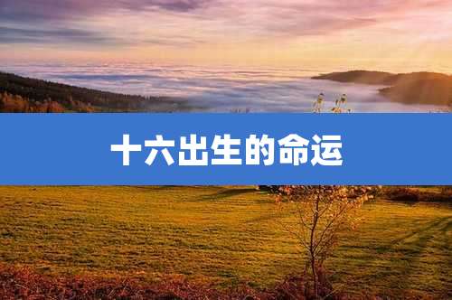 十六出生的命运