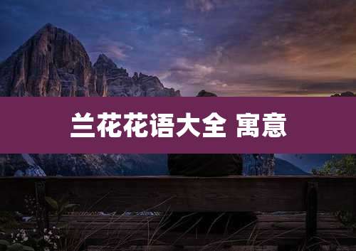 兰花花语大全 寓意