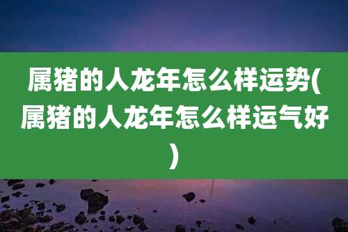 属猪的人龙年怎么样运势(属猪的人龙年怎么样运气好)