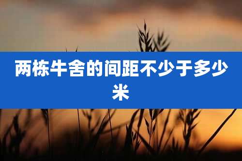 两栋牛舍的间距不少于多少米