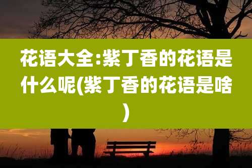 花语大全:紫丁香的花语是什么呢(紫丁香的花语是啥)