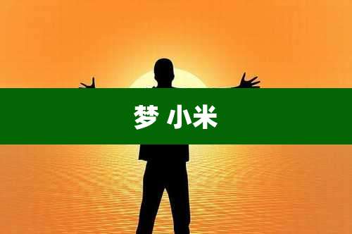 梦 小米