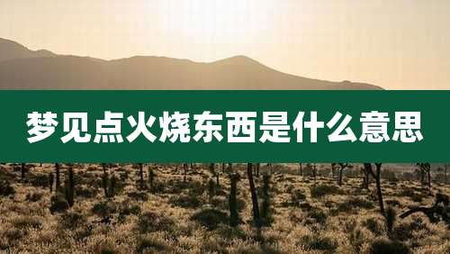 梦见点火烧东西是什么意思