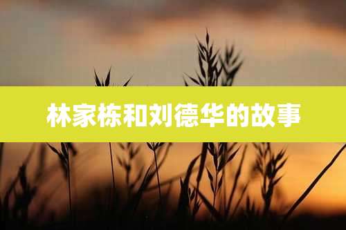 林家栋和刘德华的故事