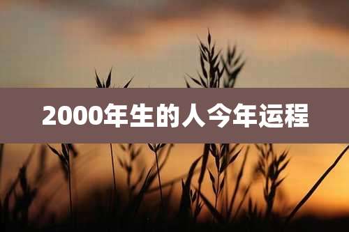 2000年生的人今年运程
