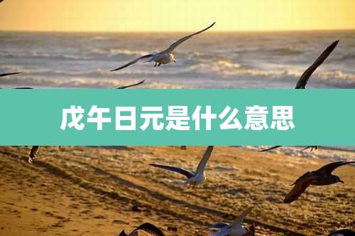 戊午日元是什么意思