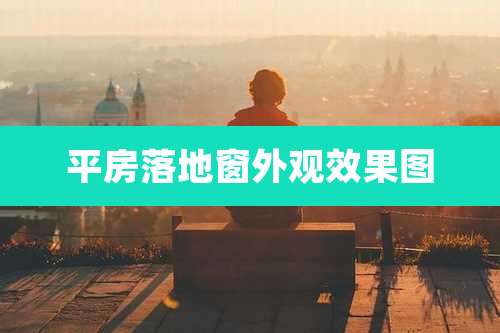 平房落地窗外观效果图