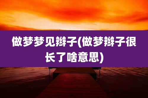 做梦梦见辫子(做梦辫子很长了啥意思)