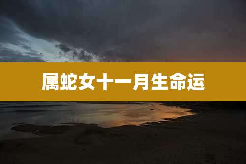 属蛇女十一月生命运